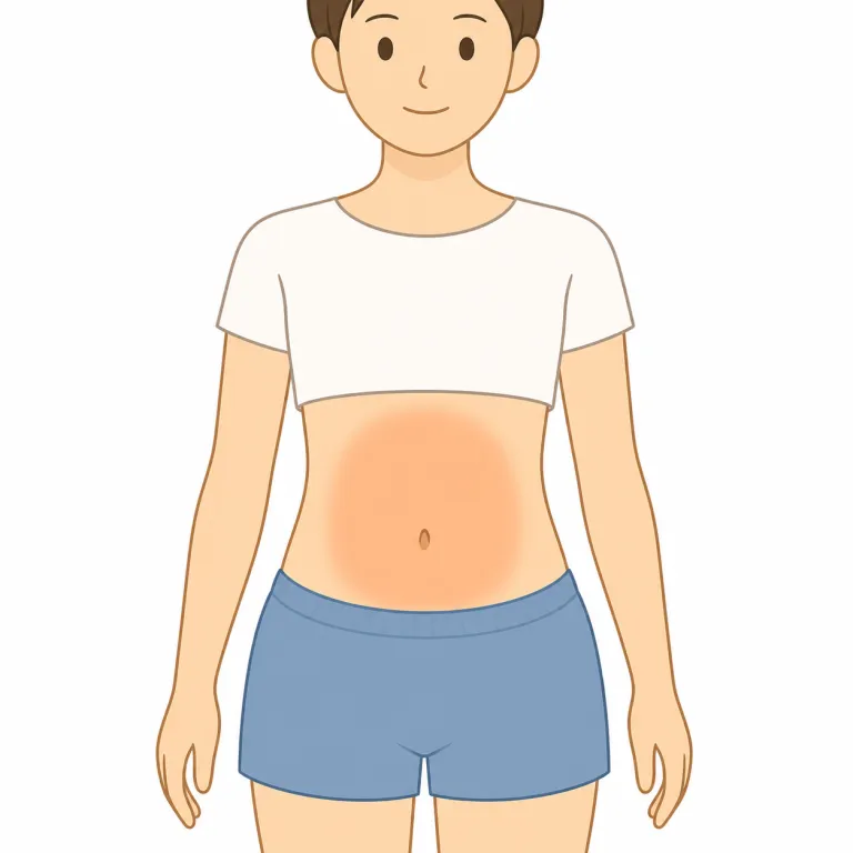 abdomenの覚え方イラスト