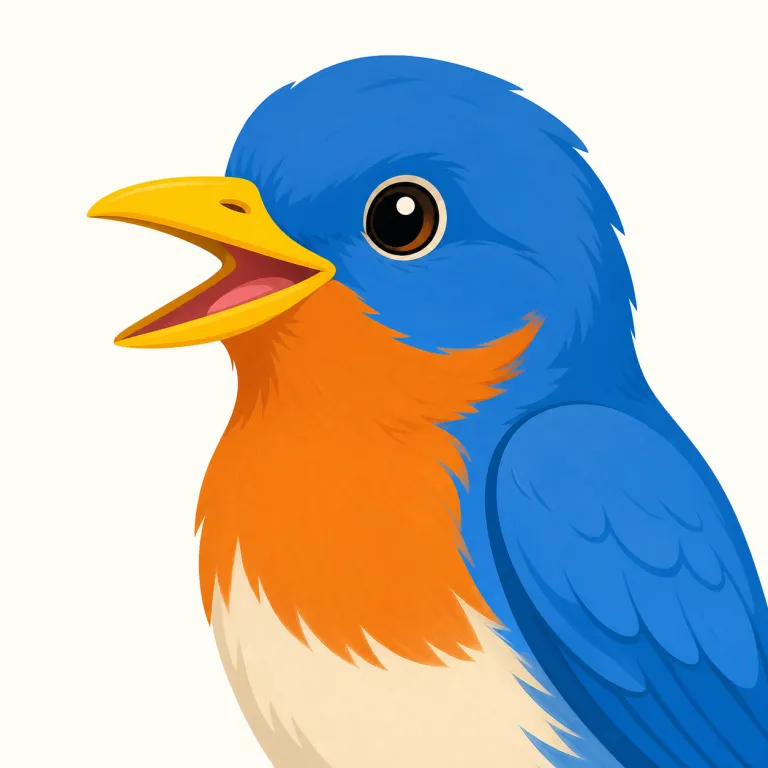 beak（くちばし・名詞）の覚え方イラスト — bird's beak「鳥のくちばし」を基本のまとまりとして覚える