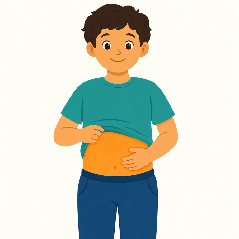 bellyの覚え方イラスト