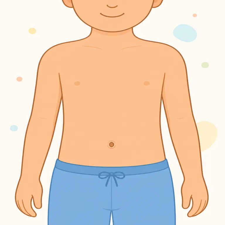 bellybutton（へそ・名詞）の覚え方イラスト — bellybutton は belly（お腹）+ button（ボタン）のそのままの複合語