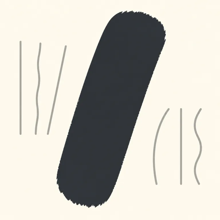 bold（太字の・adjective）の覚え方イラスト