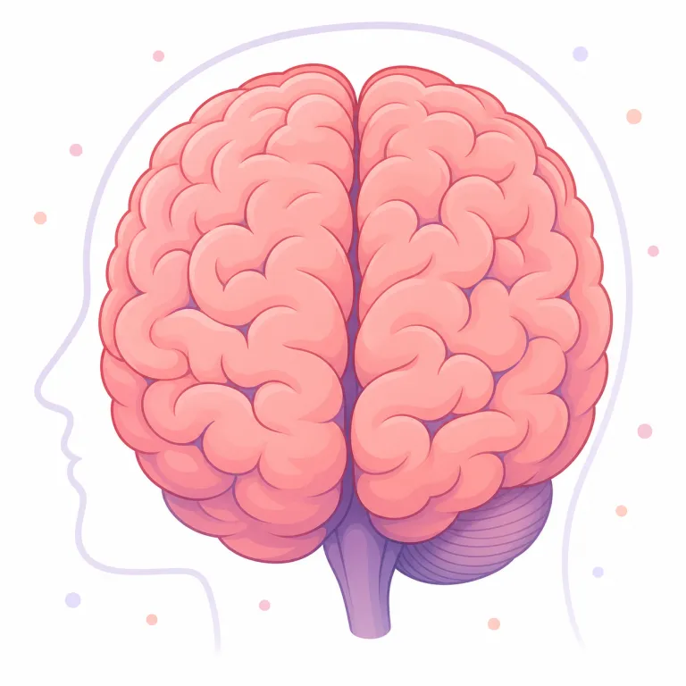 brain（脳・名詞）の覚え方イラスト — brain は「考える中枢」として覚えると定着しやすい語です