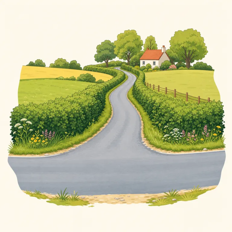 byway（脇道、小道・名詞）の覚え方イラスト — まず `way` が「道」と分かれば半分取れます