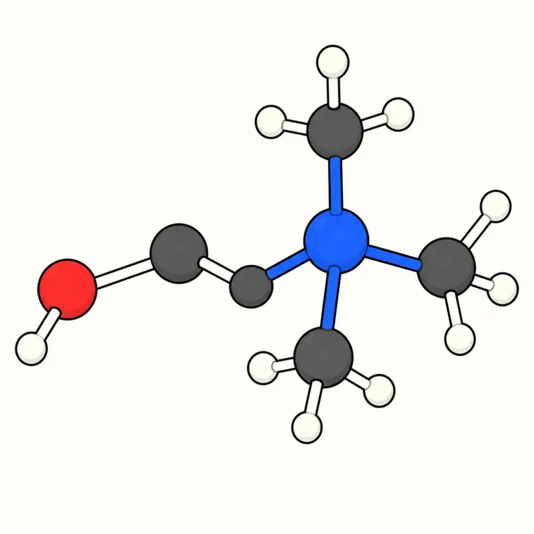 choline（コリン・noun）の覚え方イラスト