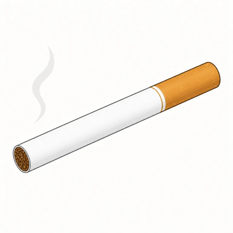 cigarette（タバコ・名詞）の覚え方イラスト — cigar を知っていれば、cigarette はまずその日常版として覚えると残りやすいです