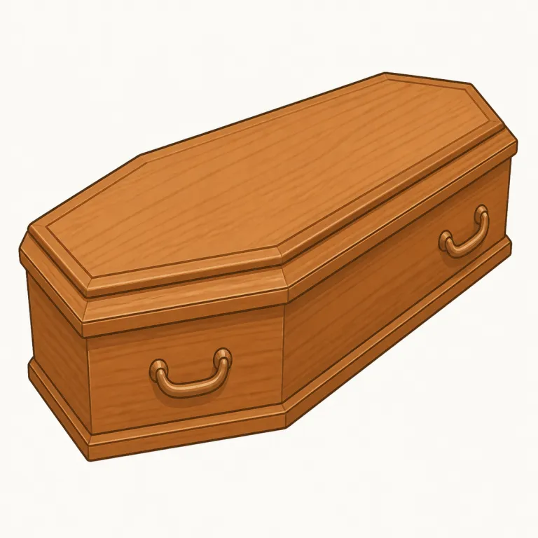coffin（棺・名詞）の覚え方イラスト — 覚える軸は「場所」ではなく「箱」です