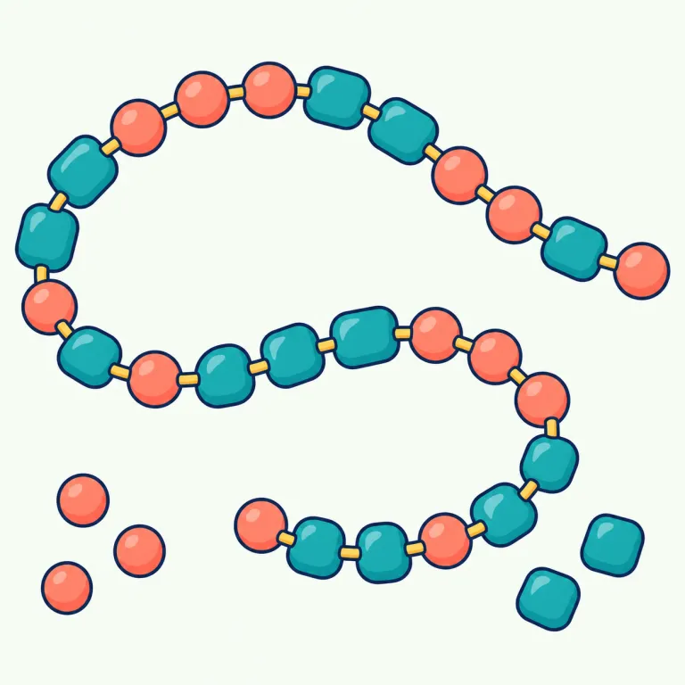 copolymer（共重合体・名詞）の覚え方イラスト — polymer（ポリマー）を知っていれば、copolymer は「co- が付いて、一緒にできた polymer」と捉えると覚えやすいです