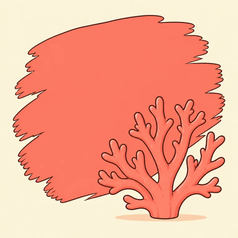 coral（サンゴ色・noun）の覚え方イラスト
