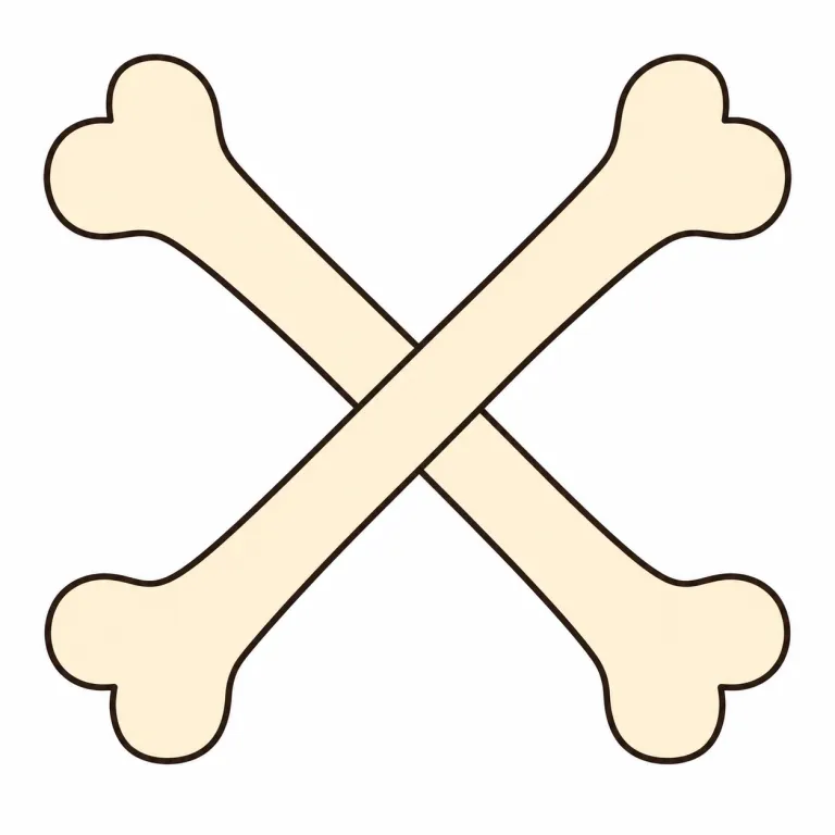 crossbones（交差した骨・noun）の覚え方イラスト