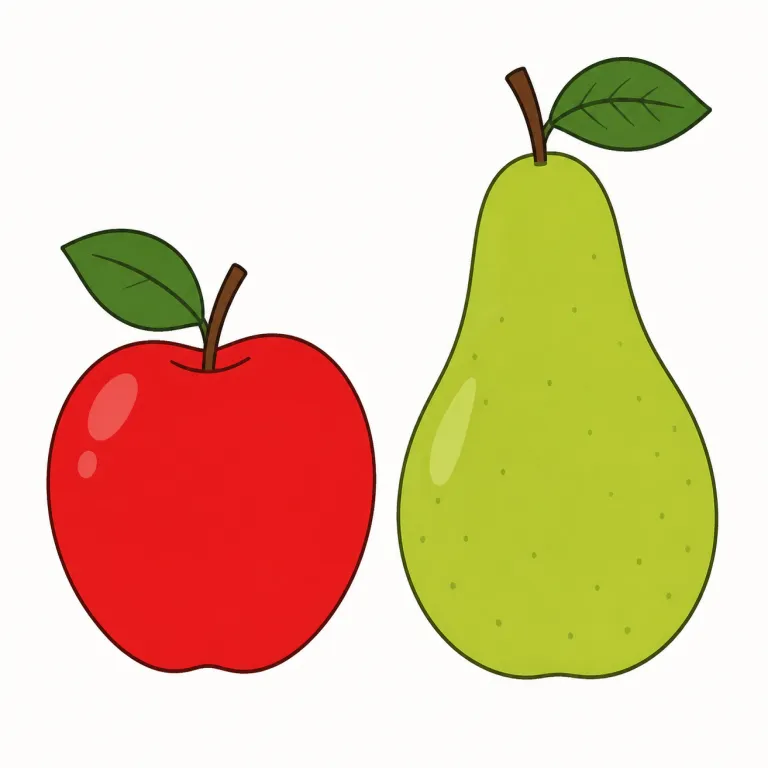 difference（違い・名詞）の覚え方イラスト — まず differ「異なる」, different「異なる」をセットで覚えると、difference はその名詞形だと自然に入ります