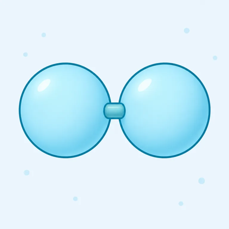 dihydrogen（二水素・名詞）の覚え方イラスト — hydrogen（水素）を知っていれば、dihydrogen は di- = two が付いて「水素が2つで1組」と取れます