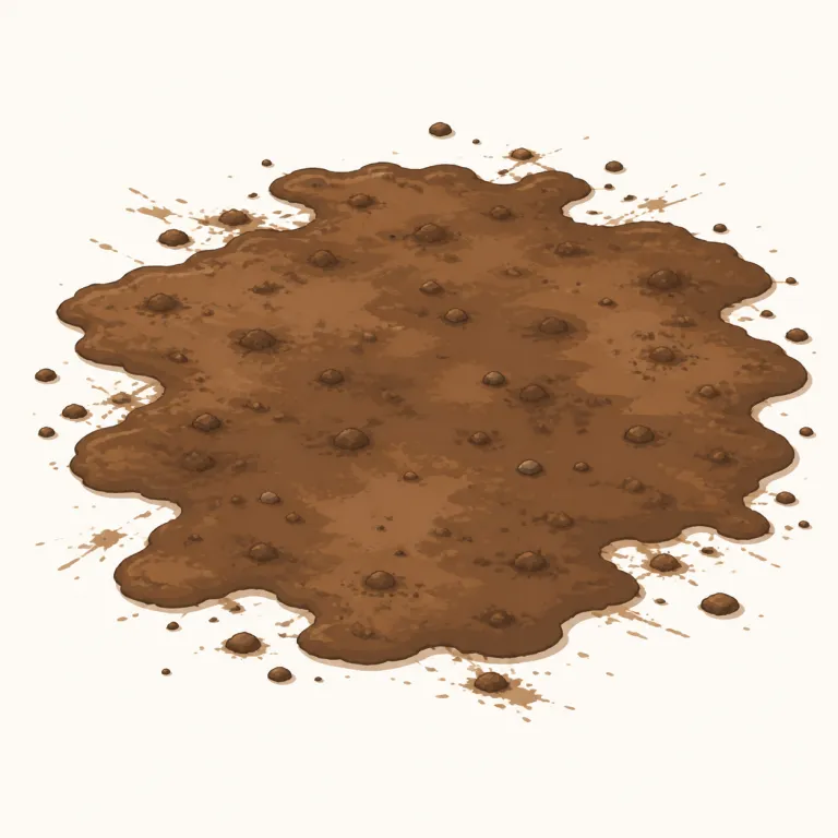 dirtの覚え方イラスト