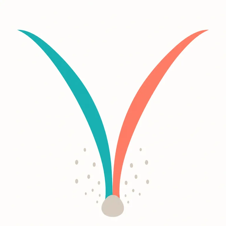 divergence（乖離・noun）の覚え方イラスト