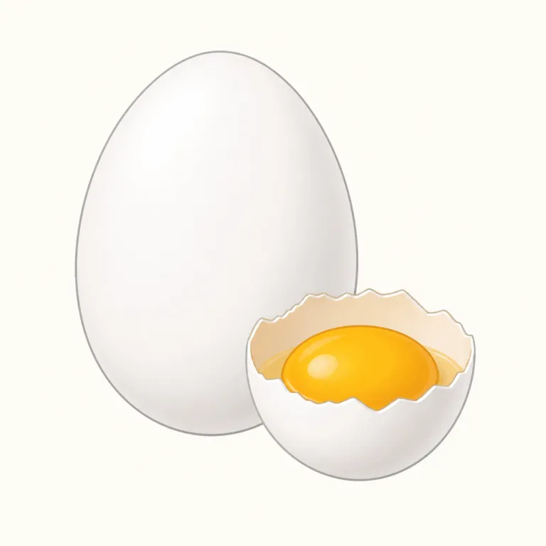 egg（卵・名詞）の覚え方イラスト — まず breakfast の定番語として記憶すると強いです