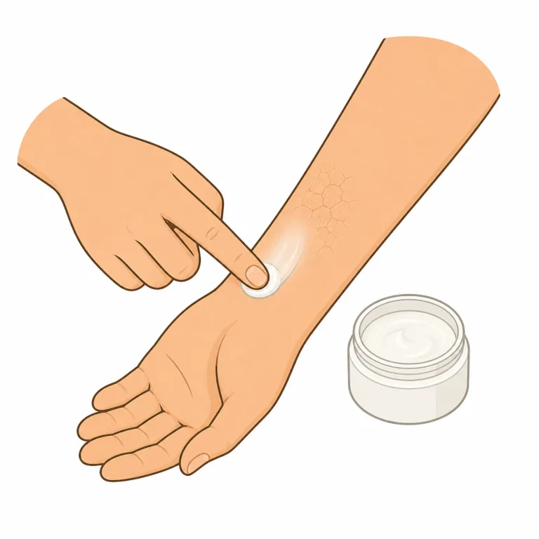 emollient（皮膚軟化剤・noun）の覚え方イラスト