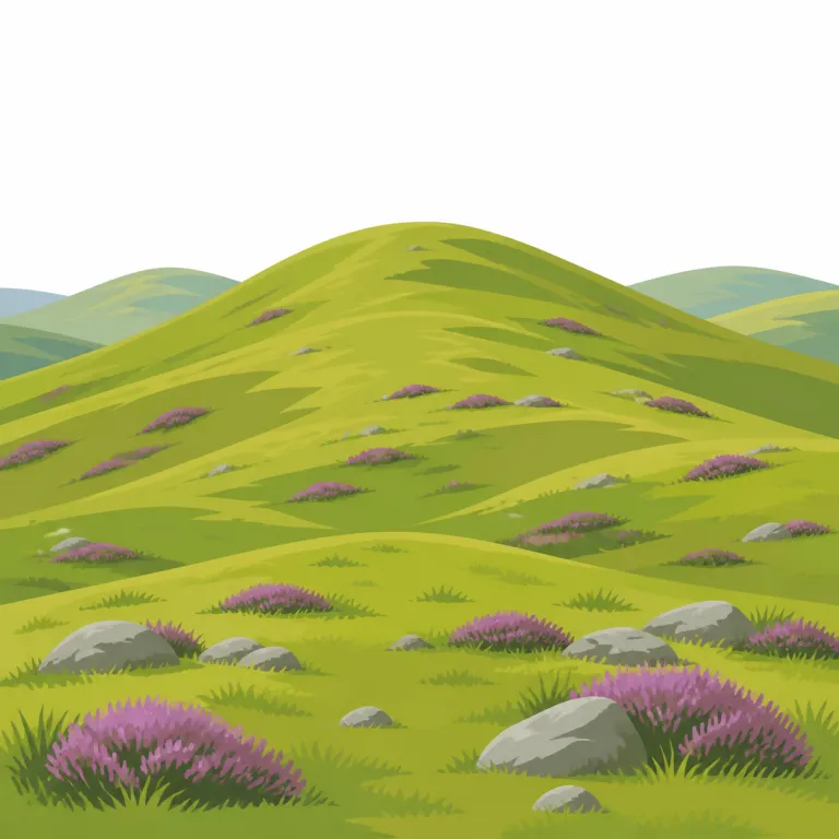 fell（丘陵地・noun）の覚え方イラスト