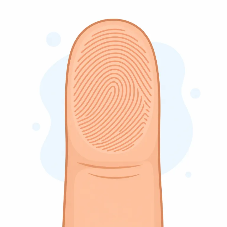 fingerprint（指紋・名詞）の覚え方イラスト — fingerprint は finger「指」+ print「押されて残った跡」