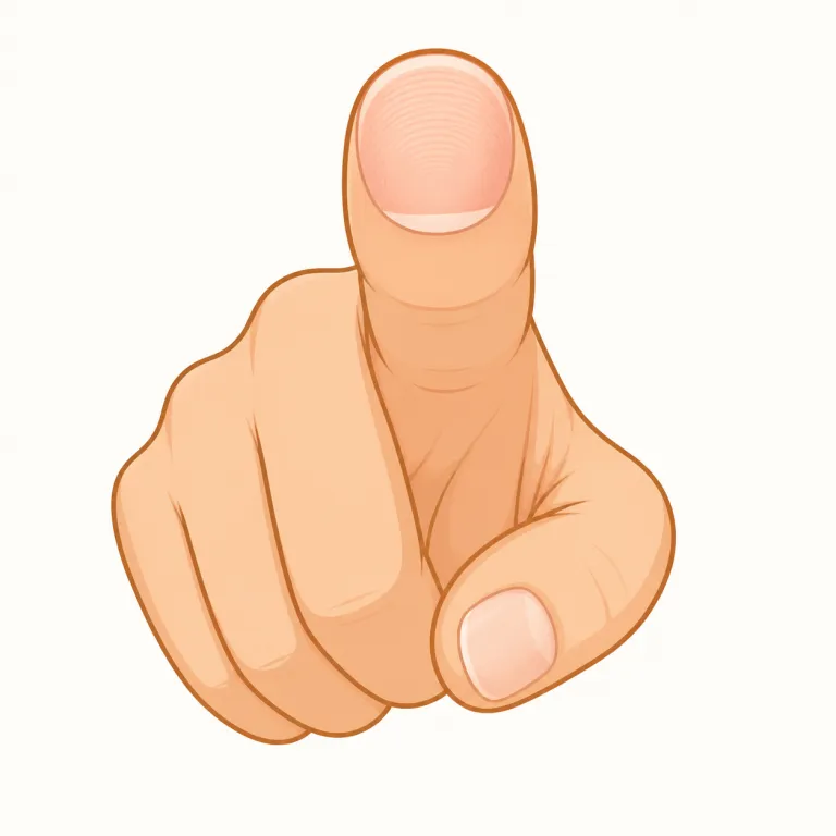 fingertip（指先・名詞）の覚え方イラスト — finger（指）+ tip（先端）とそのまま分けるのが最短です