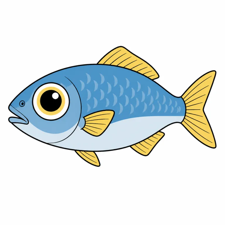 fisheye（魚眼・noun）の覚え方イラスト