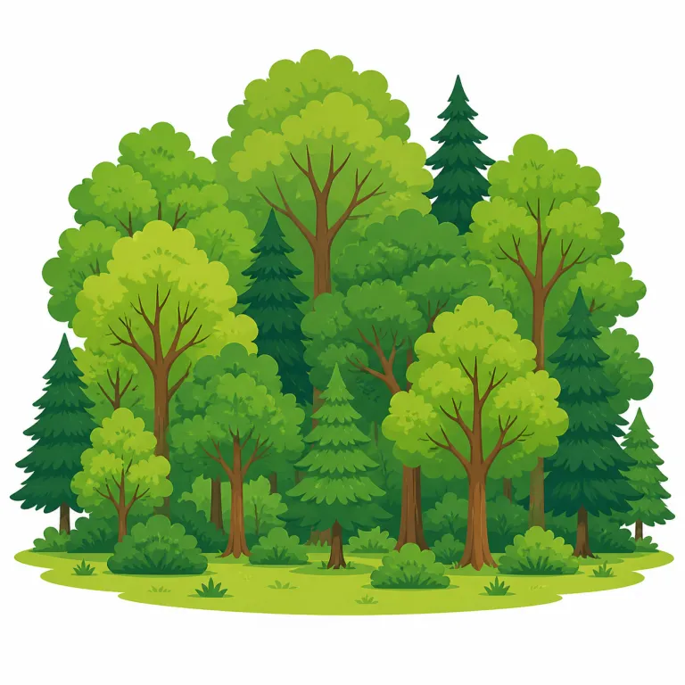 forest（森・名詞）の覚え方イラスト — 木そのものは tree、木材は wood、その木が広くまとまって生えている面を forest と整理すると覚えやすい