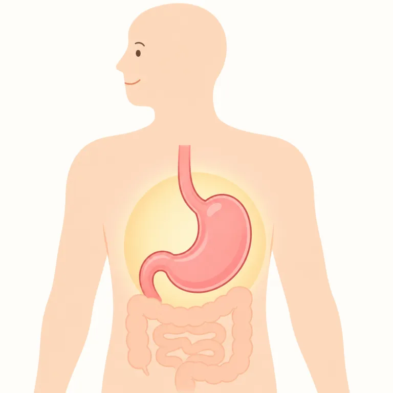 gastricの覚え方イラスト