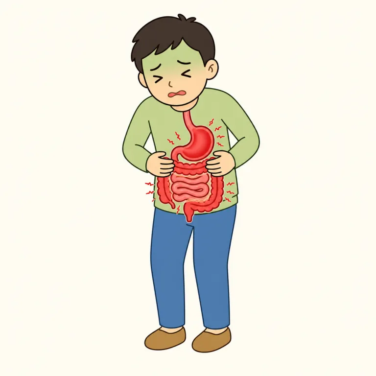gastroenteritis（胃腸炎・noun）の覚え方イラスト