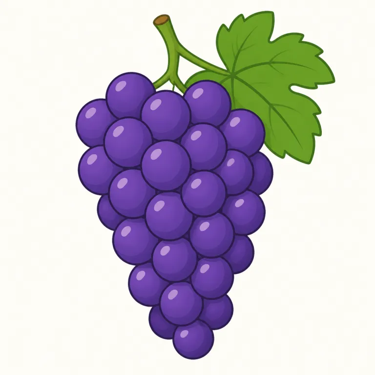 grape（ブドウ・名詞）の覚え方イラスト — apple や orange と同じ「果物名」として覚えるだけでなく、小さい実がいくつも集まった絵を一緒に思い浮かべると定着しやすい