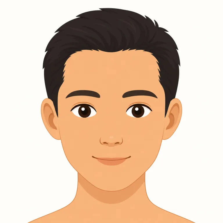 hairlineの覚え方イラスト