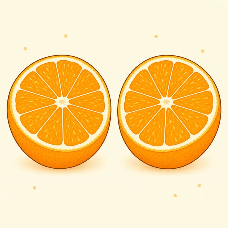 halves（半分（複数）・名詞）の覚え方イラスト — half は f のまま halfs ではなく、f を v に変えて halves