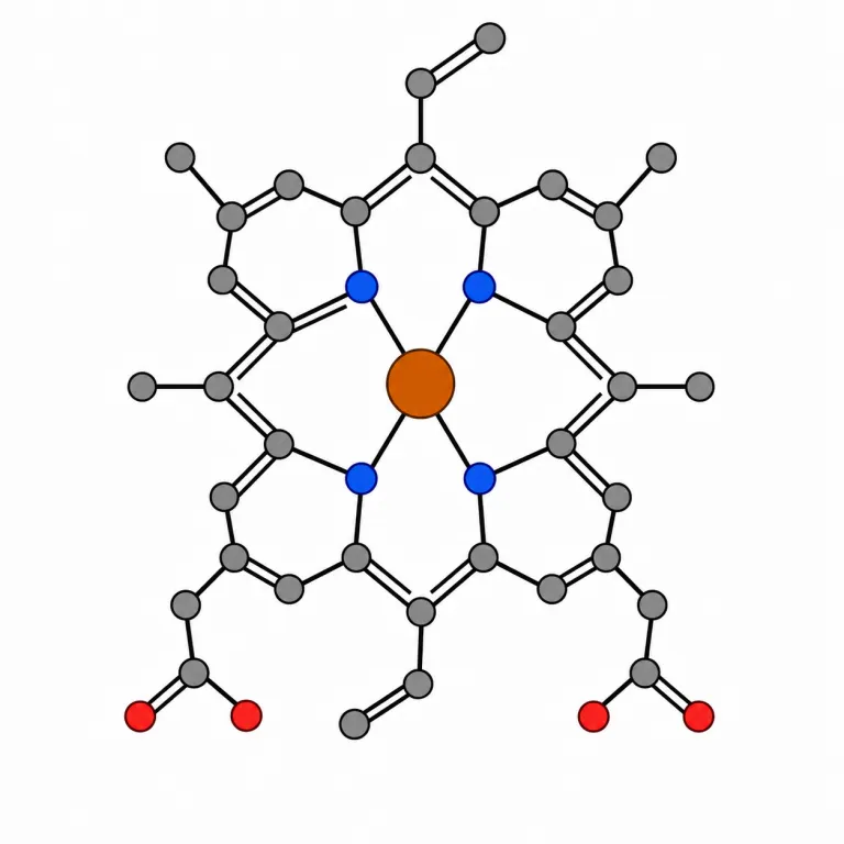 heme（ヘム・noun）の覚え方イラスト
