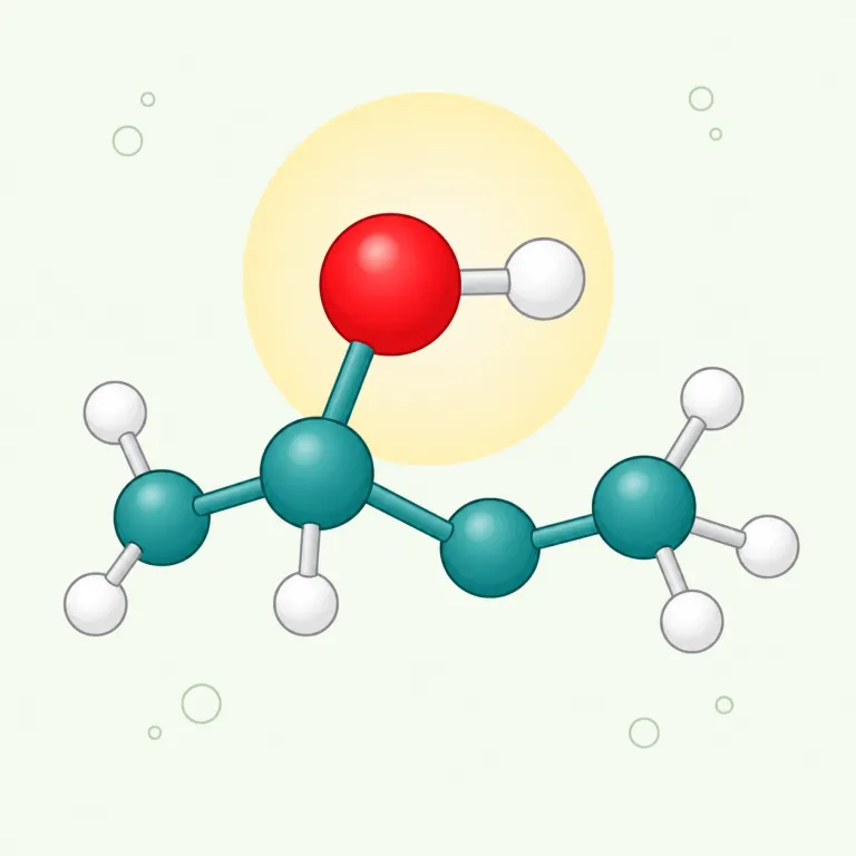 hydroxyl（水酸基・名詞）の覚え方イラスト
