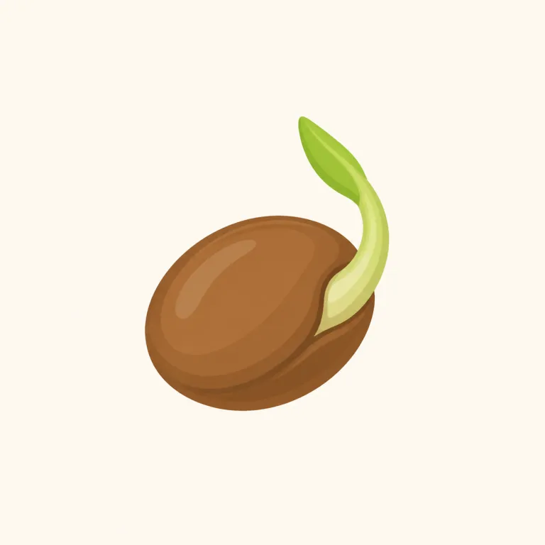 initially（最初は・副詞）の覚え方イラスト — initial を知っていれば「最初の」なので、initially はそこに -ly が付いた「最初は」という副詞だと取れる