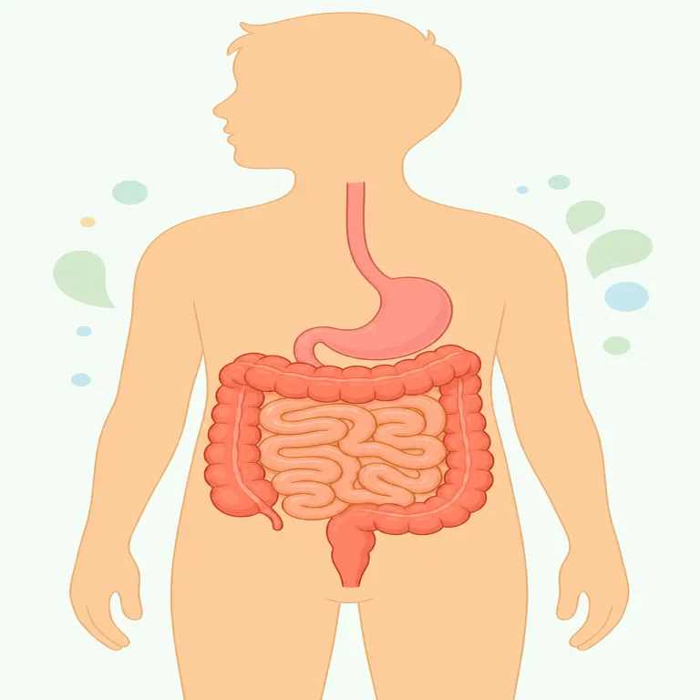 intestinalの覚え方イラスト