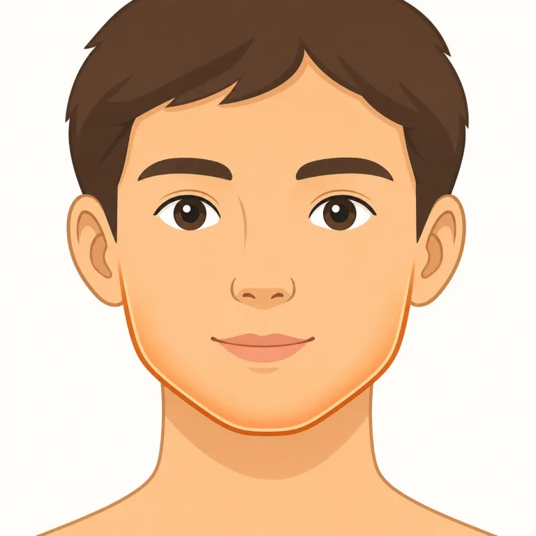 jaw（顎・名詞）の覚え方イラスト — mouth（口）や tooth（歯）と一緒に覚えると定着しやすい語