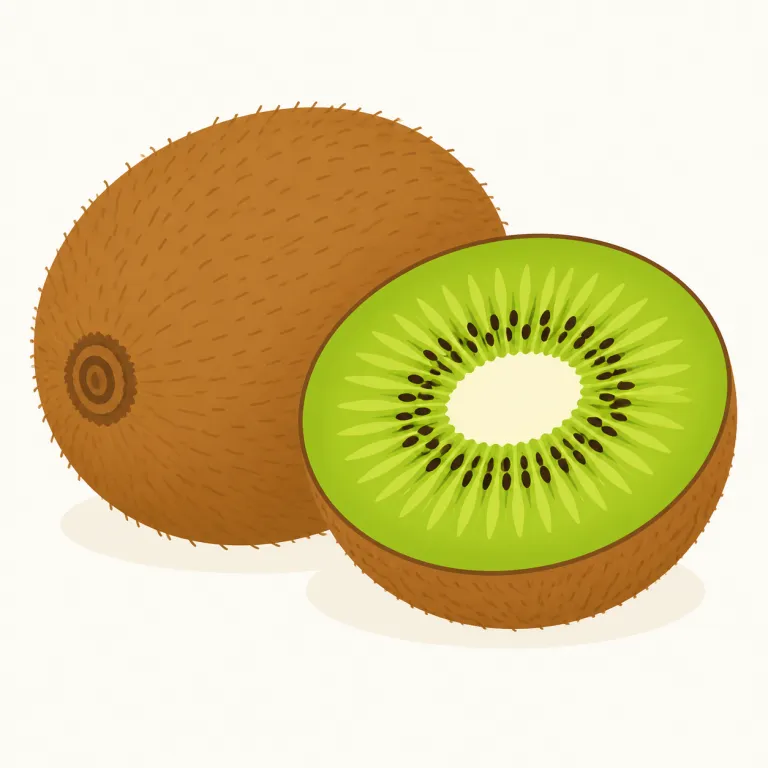 kiwi（キウイ・名詞）の覚え方イラスト — kiwi は果物の「キウイ」を表し、kiwi fruit ともいう