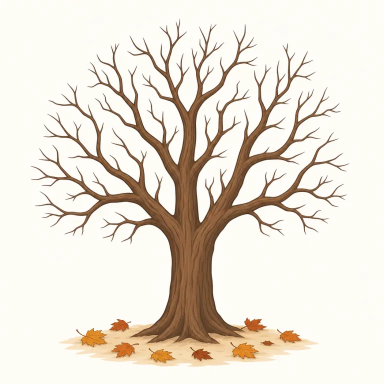 leaflessの覚え方イラスト
