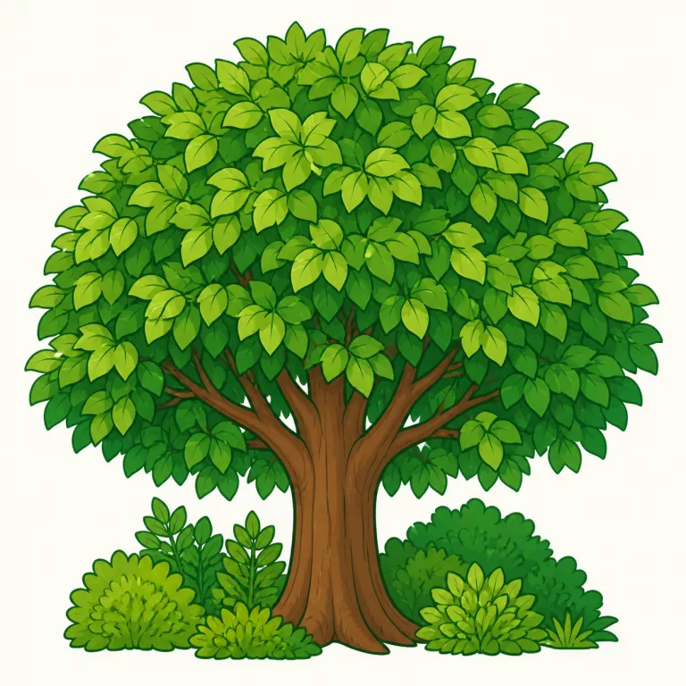 leafyの覚え方イラスト