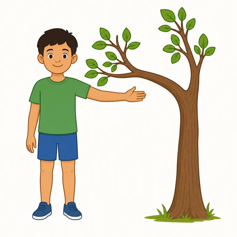 limb（手足、（木の）大枝・名詞）の覚え方イラスト — まず limb は arm や leg をひとまとめにした上位語だと覚えると整理しやすいです