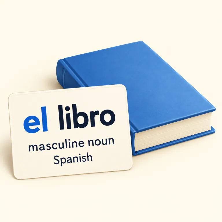 masculine（男性形の、男性名詞の・adjective）の覚え方イラスト