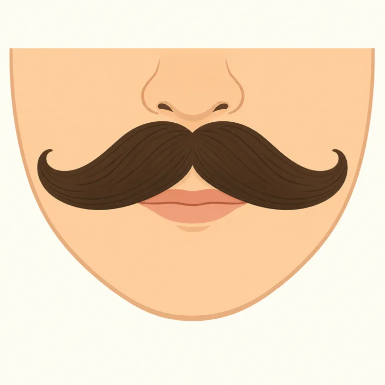 mustache（口ひげ・名詞）の覚え方イラスト — mustache は「顔の毛」全般ではなく、上唇の上だけのひげを指す語だと固定すると覚えやすいです
