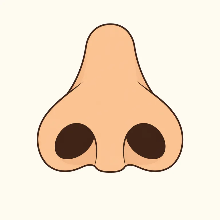 nares（鼻孔・noun）の覚え方イラスト