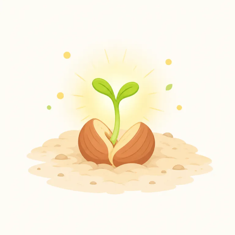 origination（発生・名詞）の覚え方イラスト — origin は「もと・起点」を表す基本語で、originate は「生じる、始まる」という動詞です
