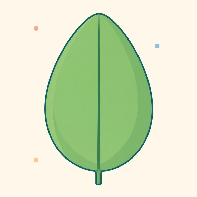 ovate（卵形・形容詞）の覚え方イラスト — oval を知っていれば、ovate はそこから覚えるのが近道です