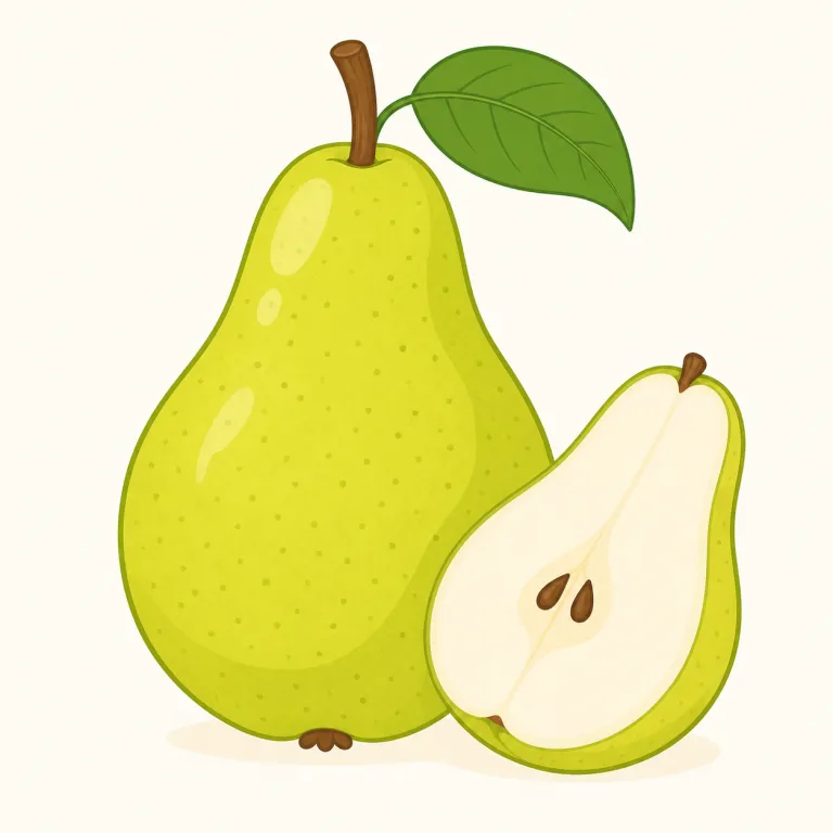 pearの覚え方イラスト
