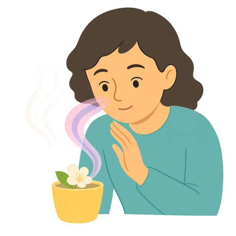 perceptible（知覚可能な・形容詞）の覚え方イラスト — perceive（気づく・知覚する）を知っていれば、その「気づくことができる側」の形容詞だと整理すると覚えやすいです