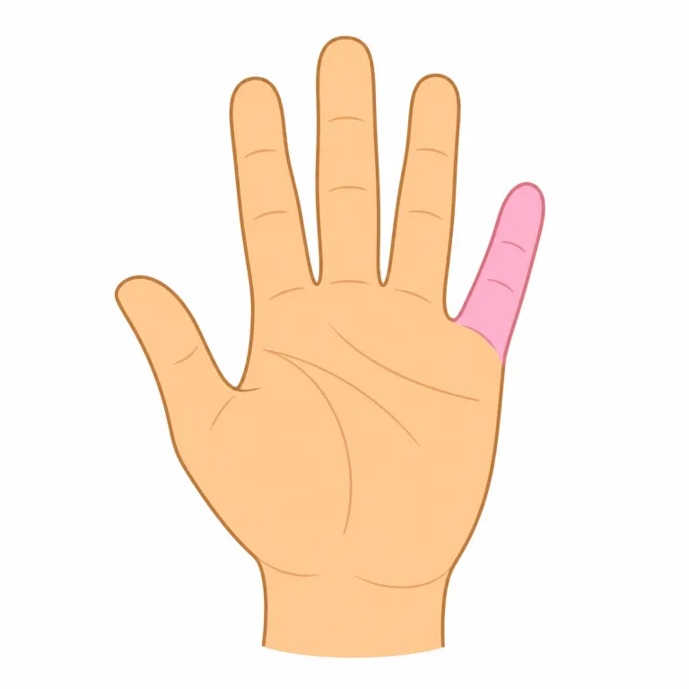 pinkyの覚え方イラスト