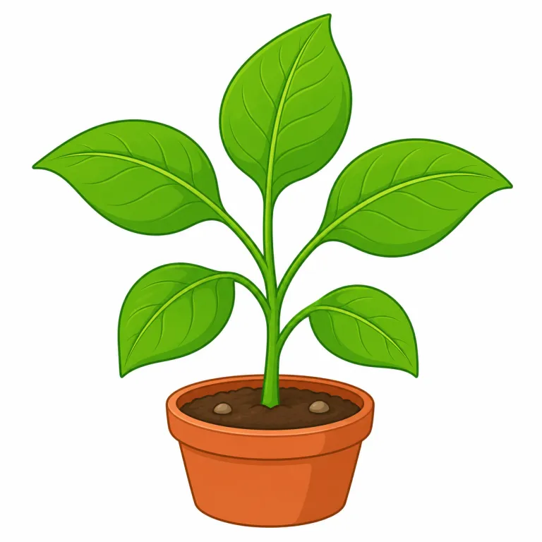 plant（植物・名詞）の覚え方イラスト — a plant は「一本・一鉢の植物」として数えられる語だと押さえると自然です