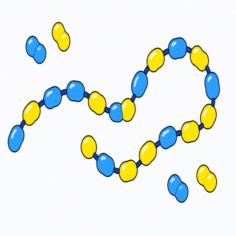 polymerの覚え方イラスト