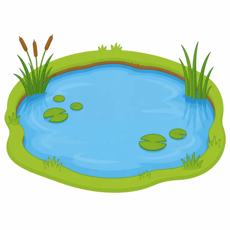 pond（池・名詞）の覚え方イラスト — このエントリでは pond を、庭や公園にある小さな静かな「池」として覚えます