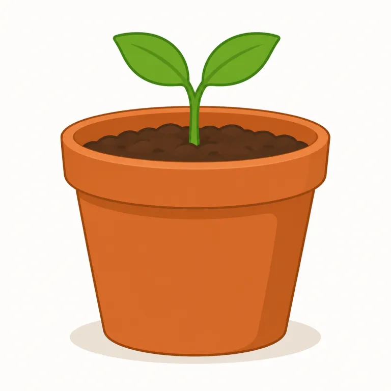 pot（鍋・名詞）の覚え方イラスト — pot は料理で使う深い「鍋」を表します